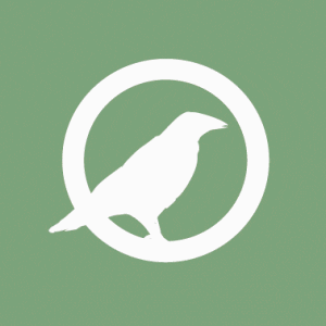 CORVIS | Our clients perform better GIF