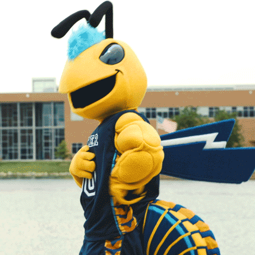 Cedarville Yellow Jackets Ohio GIF by Cedarville University Find