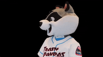 Raccoon Sprocket GIF by Rocket City Trash Pandas