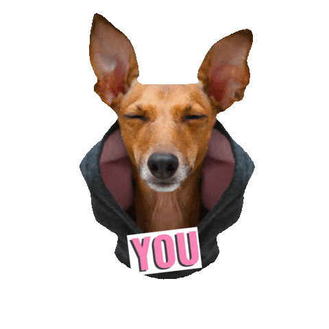 Sticker by Iggy Joey