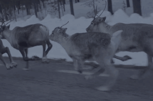 200.gif?cid=fc005b081e36ee992e87ad966fb0f225b2e2370121983725&rid=200.gif&ct=g