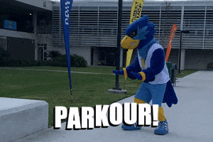 Rally Parkour GIF by SeminoleState