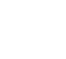 Summer Shoes Sticker by BILLINI