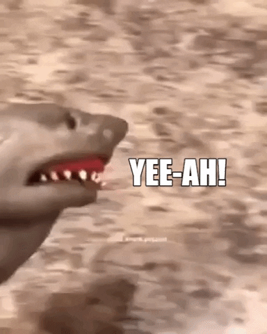 Yeah GIF