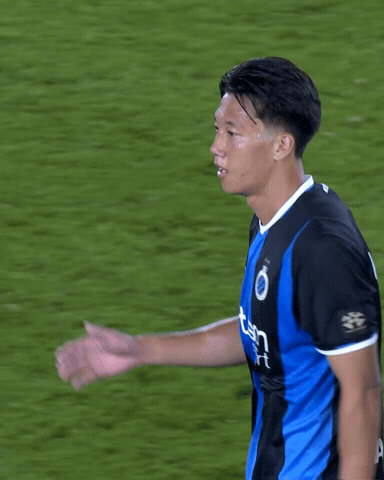 Blauw-Zwart GIF by Club Brugge