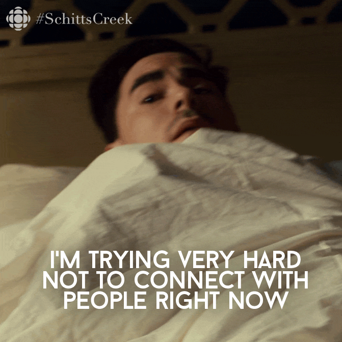 Trying Very Hard Dan Levy GIF by CBC - Find & Share on GIPHY