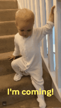 Toddler Walking Down Stairs GIF by Storyful