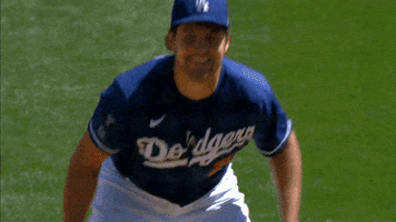 Los Angeles Dodgers Sport GIF by Trevor Bauer