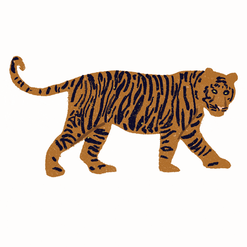 Tiger Jungle GIF
