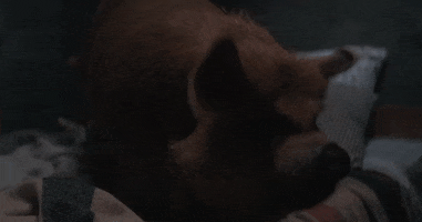 Pig Neon Rated GIF by NEON