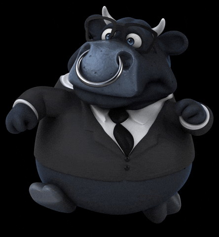 Brabinho GIF by Boi Brabo