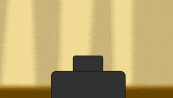 Trump GIF