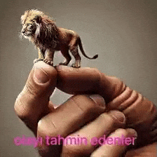 Ed Eden GIF