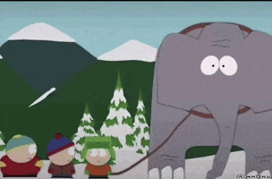 Acknowledge Me South Park GIF