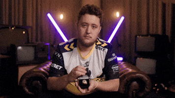 Vitality Cs2 GIF by BLAST