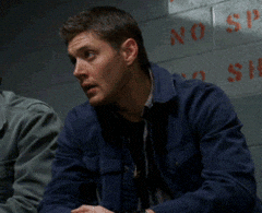 humour facepalm GIF