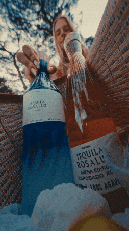 Tequila Hamptons GIF by martigarces
