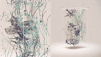 cells microbiology GIF by Digg