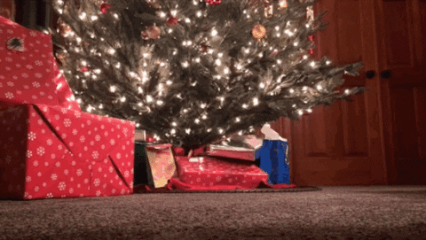 christmas tree GIF