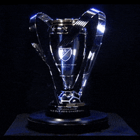 World-series-trophy GIFs - Get the best GIF on GIPHY