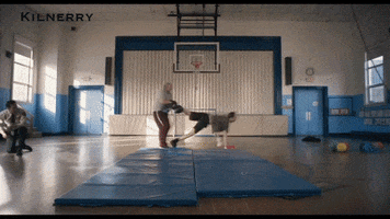 Sport Reaction GIF by Love in Kilnerry