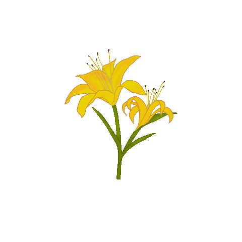 Flower 花 Sticker
