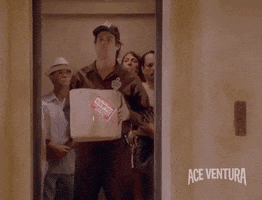 Jim Carrey Alrighty Then GIF by Ace Ventura - Find & Share on GIPHY