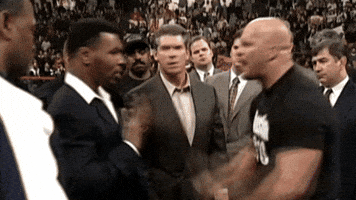Mike Tyson Fight GIF