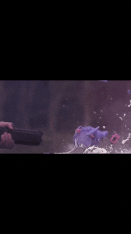 Game Over Baby GIF