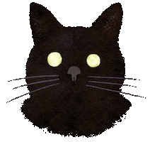 Cat 黑貓 Sticker