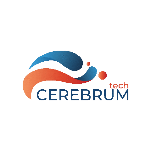 Cerebrum Technologies Ankara Sticker