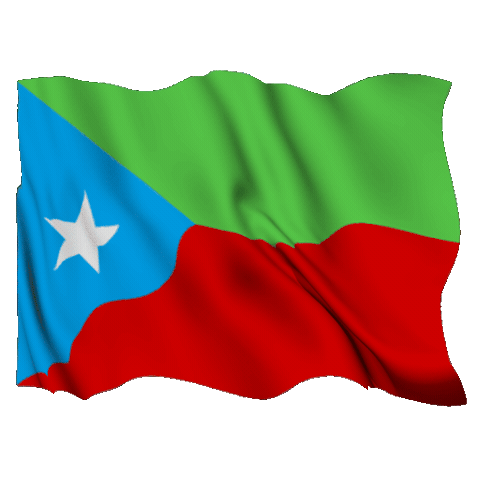 Flag Iran Sticker