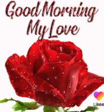 Digital illustration gif. Closeup of a beautiful red rose with sparkles fills the frame. Sparkly cursive text above reads, "Good morning my love."