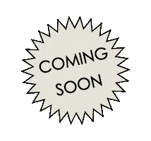 Lins Amsterdam Sticker