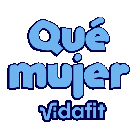 Vidafit Sticker
