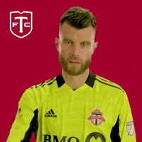 TorontoFC-toronto-tfc-fc-Lytaiy92hbIgacjaFw