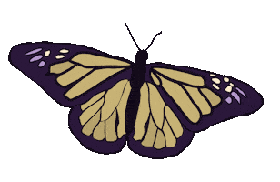 Purple Butterfly Spring Sticker by James Madison University