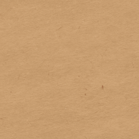 GIF by Alliance Community Services