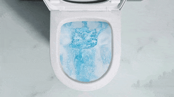 DurovinBathrooms bathroom toilet flush flushing GIF