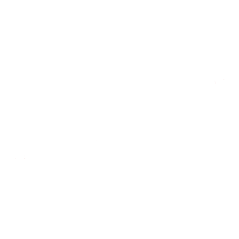 BRUZZ Sticker