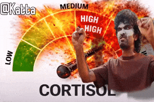 Pr Katta GIF