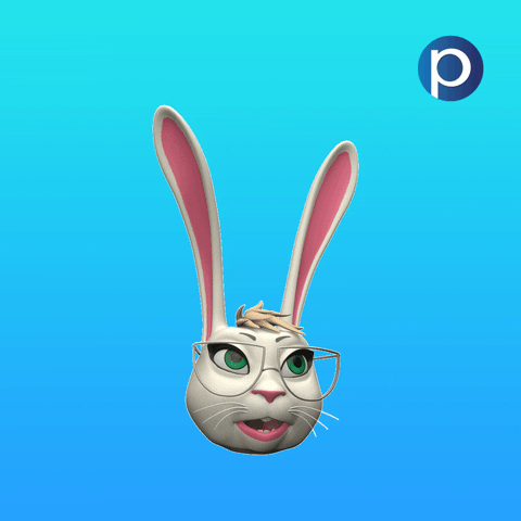 Bunny Rabbit GIF by Pracuj.pl