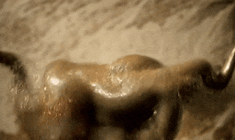 GIF by Alex Boya