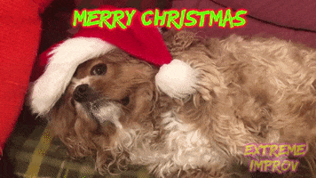 Merry Christmas GIF by Extreme Improv