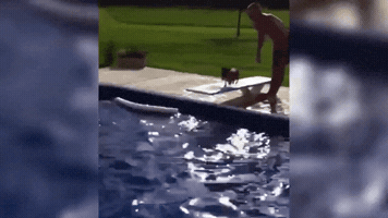 megscanlon #swimming #gods #divingboard #summer #pool #funny GIF