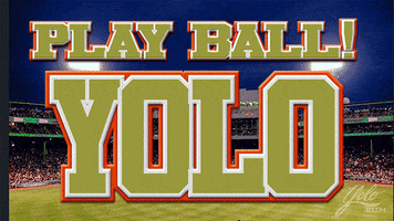 Play Ball Baseball GIF by Yolo Rum