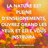 PIMPTAMARQUE-canada-laval-pimptamarque-M4Po7r7GXnQfRgEjRM