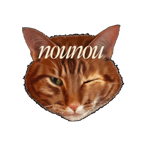 nounoulondon Sticker
