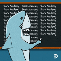 Discovery Channel School GIF by Shark Week
