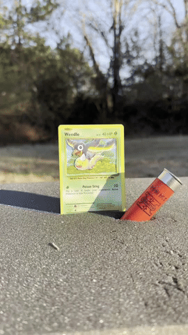 Trading Cards Pokemon GIF